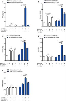 PD1-CD28 Fusion Protein Enables CD4+ T Cell Help for Adoptive T Cell Therapy in Models of Pancreatic Cancer and Non-hodgkin Lymphoma